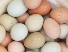Muchos huevos