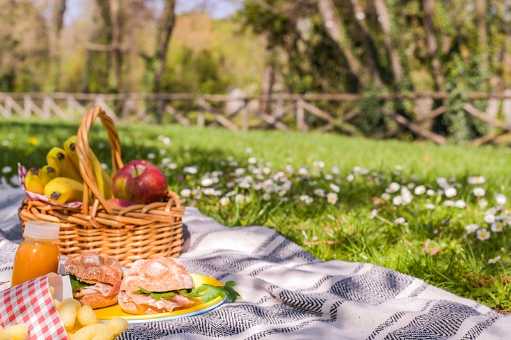 picnic en primavera