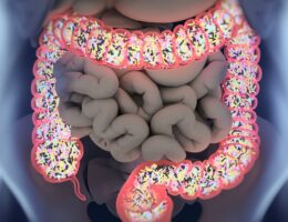 diagrama de microbiota