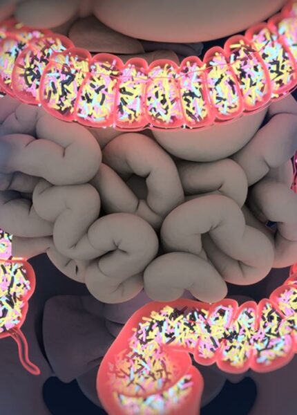 diagrama de microbiota